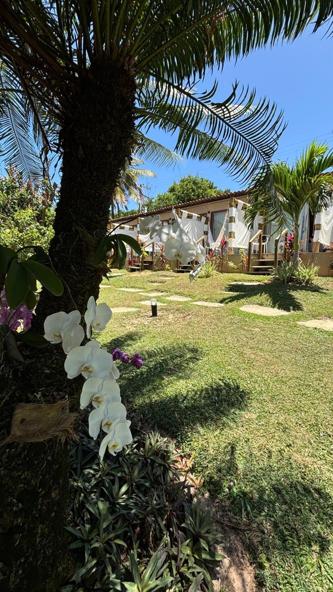 Hotel Da Pipa Praia de Pipa المظهر الخارجي الصورة