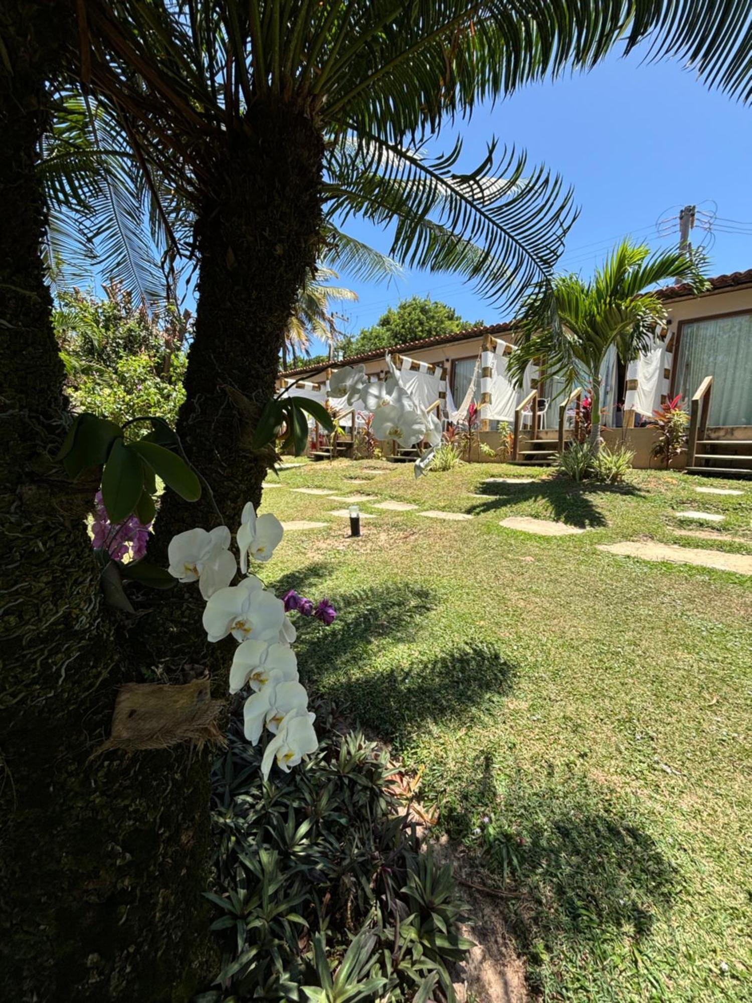 Hotel Da Pipa Praia de Pipa المظهر الخارجي الصورة