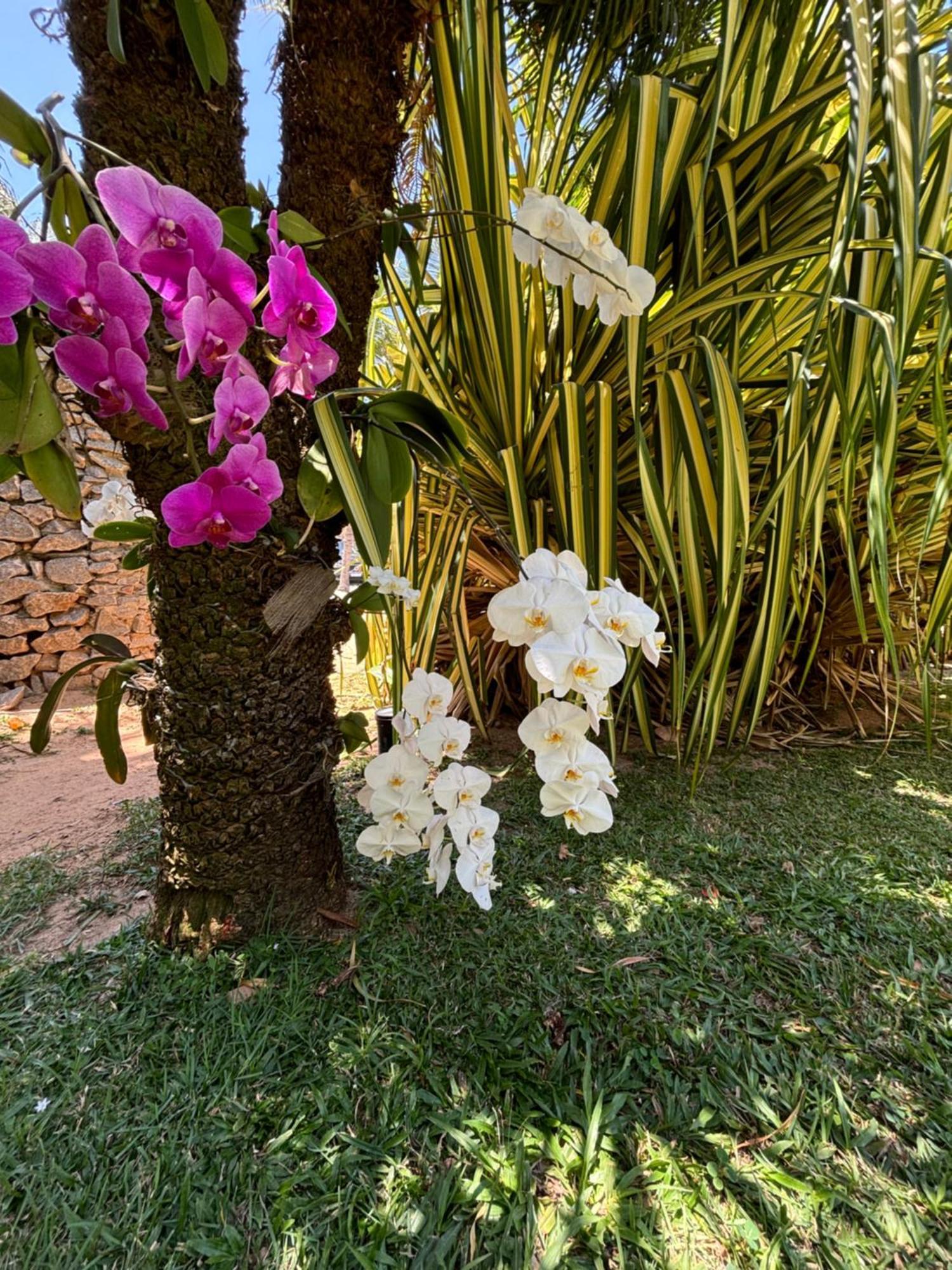 Hotel Da Pipa Praia de Pipa المظهر الخارجي الصورة